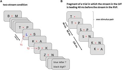 Left-Hemisphere Delay of EEG Potentials Evoked by Standard Letter Stimuli During Rapid Serial Visual Presentation: Indicating Right-Hemisphere Advantage or Left-Hemisphere Load?